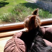 Sandy Yardley- McDade's photo