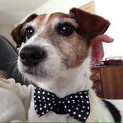 Cathy Beaudoin's photo