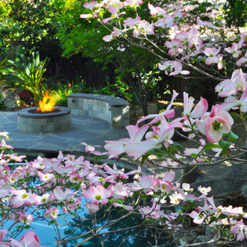 Fire + Dogwood