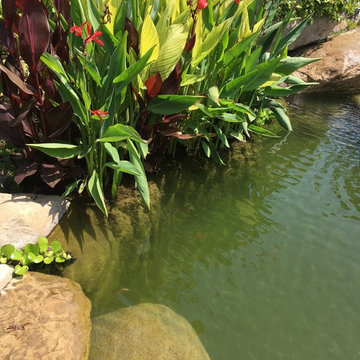 Garden Ponds