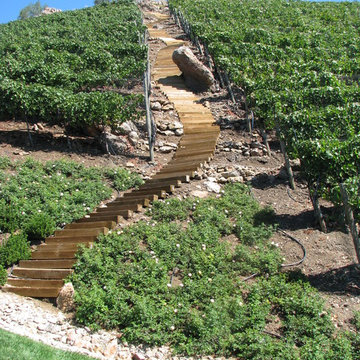 Malibu Rocky Oaks Estate Vineyards