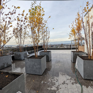 Rooftop installation overlooking Prospect Park, Brooklyn NY