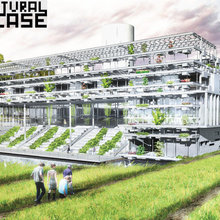 Agricultural Showcase