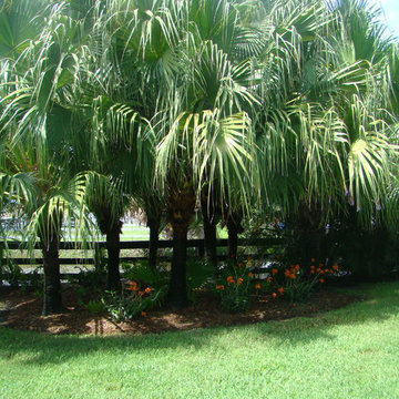 Equestrian farm