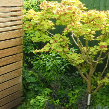 Linear View - Slatted screen.