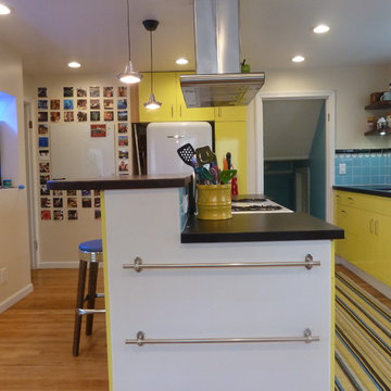 Mid century Retro kitchen & Great Room in San Mateo