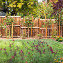 Fence ideas