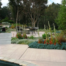 Garden Plants