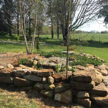 Rock Center Pc. - Tree Protection - When Tree get Larger will be - Shade Garden