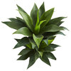 29" Double Agave Succulent Artificial Plant