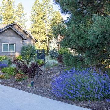 Edgemont Highlands