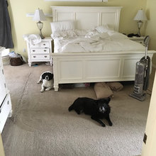 bed room redo
