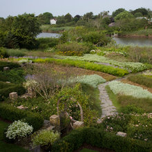 Landscape Ideas