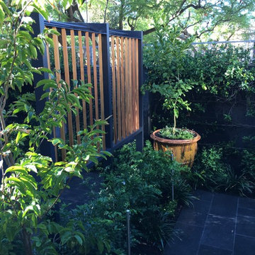 North Adelaide - Courtyard