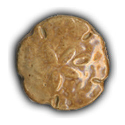 1.5" Small Sand Dollar - Tile