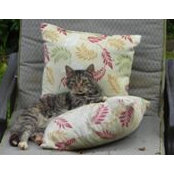 Barbara Curry's photo