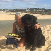 Isabel Azevedo's photo