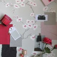 Eden Home Solutions's profile photo