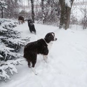 Letha Boust's photo