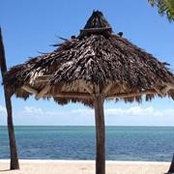 Marcia Guajardo's photo