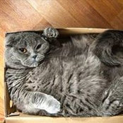 Thom Ingle's photo