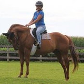 Kelly Lerch's photo