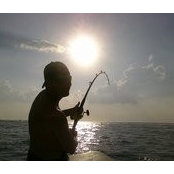 David Pardue's photo