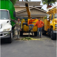 DISCOUNT TREE SERVICES