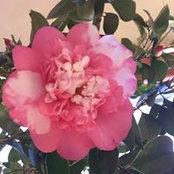 Joanna Boyd's photo