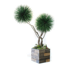 topiary