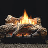 Mv 5-Piece 18" 10000 Btu Ceramic Fiber Log Set, Natural Gas