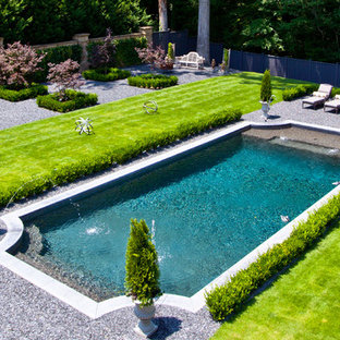 アトランタの長方形トラディショナルスタイルのおしゃれなプール (砂利舗装) の写真