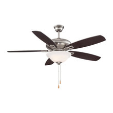Lighting/Fans