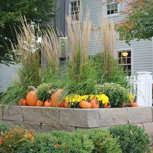 fall decor