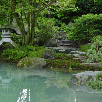 Alter Japangarten in neuem Gewand - Teichsanierung