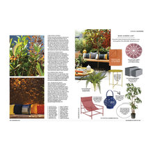 Portfolio ideas