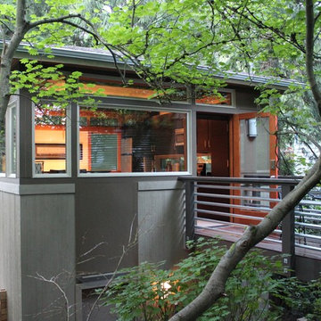 Urban Treehouse DADU