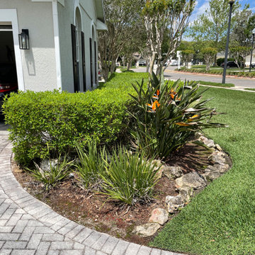 Front and Backyard Landscape Renovation with a Drainage Challenge