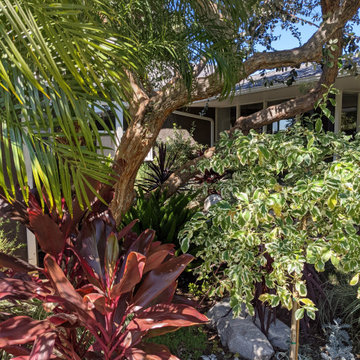Van Nuys Project