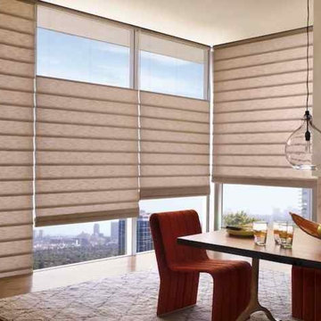Hunter Douglas Products offered by Blind Ambition Companies
