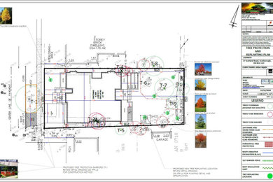 Tree Protection & Replanting Plan