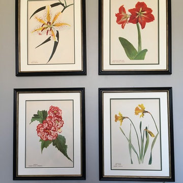 Original Vintage Botanical Framed Prints