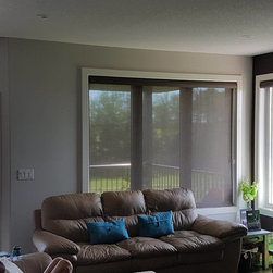 Hunter Douglas Roller/Screen Shades - Window Blinds