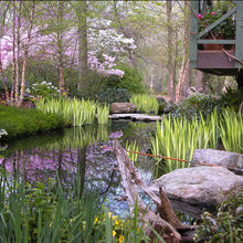 Garden Ideas