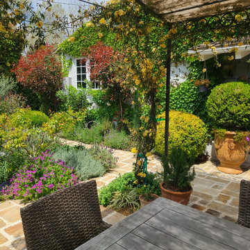 Equestrian Mediterranean