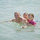 webuser_66376