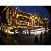 Dmitry Semaev's photo