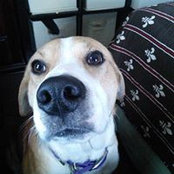 Marty Liera's photo
