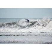 Dave Sasson's photo