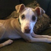 Reba Thigpen's photo